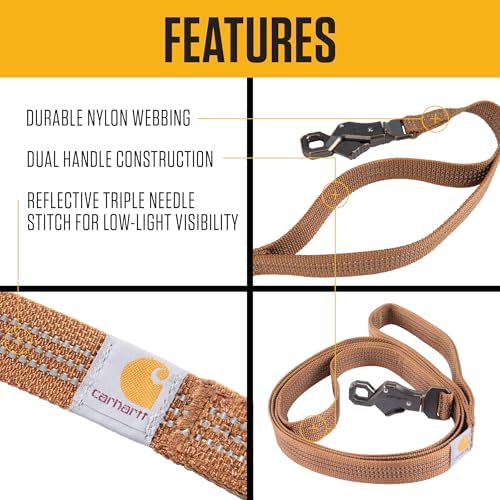 Carhartt Nylon Dual Handle Dog Leash Hunter Orange L