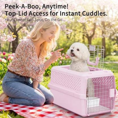RIZZARI 22" Hard Cat Carrier: Travel Kennel for Cats & Small Dogs