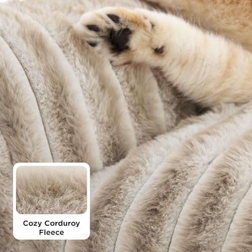 Bedsure ComfyFleece™ Shown on TV Fluffy Cat Couch for Pets,24in Amphora