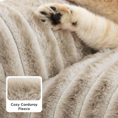 Bedsure ComfyFleece™ Shown on TV Fluffy Cat Couch for Pets,24in Amphora