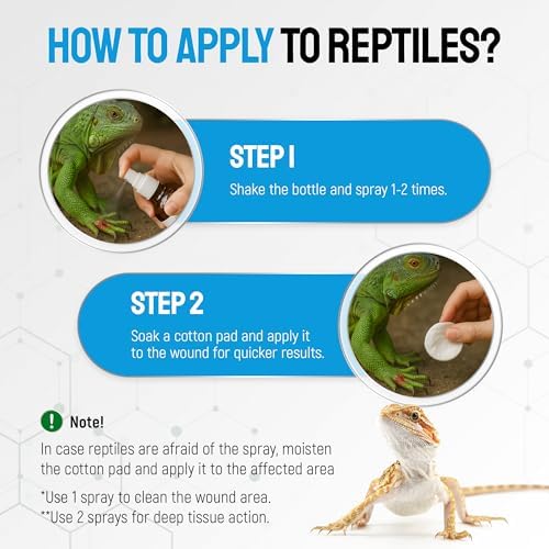 SILVER GRADE Reptile Antibiotics Mouth Rot Spray for Snakes & Lizards
