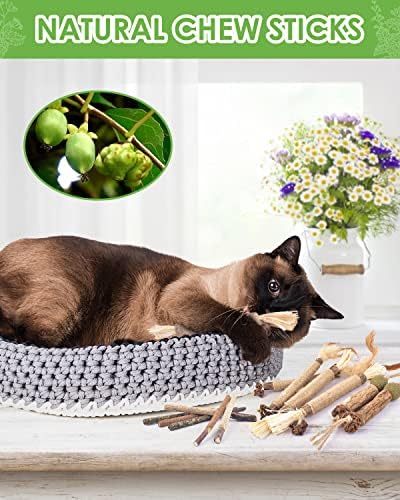 TINDTOP Catnip Chew Toys for Cats, 12 Pack Natural Silvervine Sticks