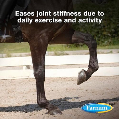 Farnam Next Level Joint Supplement for Horses & Dogs, Helps Maintain Connective Tissue to Ease Stiffness Due to Daily Activity, Joint Supplement for Dogs and Horses, 16 oz, 16-Day Supplyx