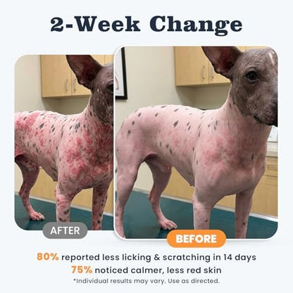 Dog Allergy & Immune Chews 300 Treats, Itching Skin Relief Chews Omega 3 Fish Oil Probiotics for Seasonal All Issues Allergies Skin & Hair, Gut, Immune-All Ages & Sizes Dogs Made in USA Chicken Flavor