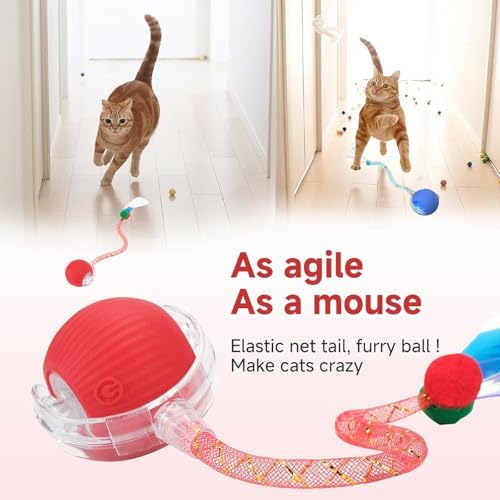 Speed 2.0 Tail Interactive Cat Toys for Indoor Cats, Moving Cat Toy