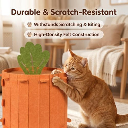 Cat Caves for Indoor Cats - Removable Washable Felt Cat Cave House