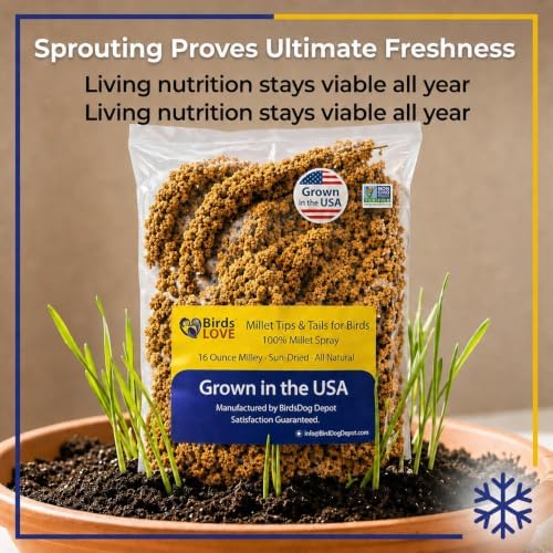 Birds LOVE® Millet Tips & Tails for Birds – Premium Spray Millet Treat, Grown in the USA – Natural & Healthy Bird Food for Parakeets, Cockatiels, Budgies, Lovebirds, Finches, Canaries & Parrots – 1 lb