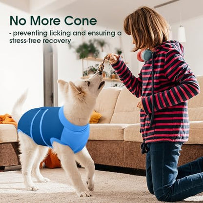 Kuoser Dog Recovery Suit, Female Male Spay Neuter Surgery Suit, Blue, M