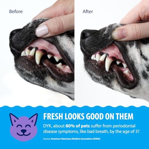 Dental Fresh Advanced Plaque & Tartar Water Additive 64 oz