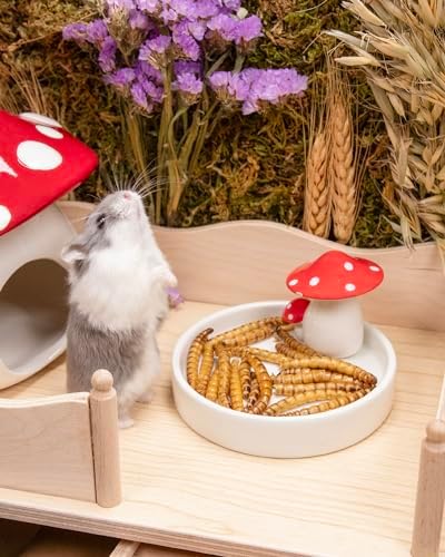 Niteangel Small Animal Snack & Treats - Dried Worms & No Additive