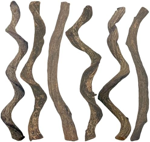 BNOSDM Reptile Forest Climbing Branch Decor 6PCS Crested Gecko Climb Wood Natural Branches Tree for Snake Frog Chameleon Spider Bearded Dragon Terrarium Habitat Tank Accessories