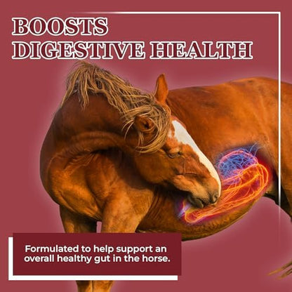 EQUERRY'S Better Horse Belly - Supplement for Horses with Gut Support | Probiotics with Prebiotics and Digestive Enzymes | for Colic, Digestive Upset - 3.2LB