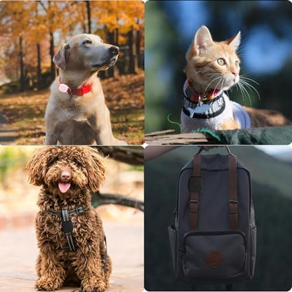 Waterproof Dog Collar Holder for Tile Mate 2024/2022 Tracker, 2 Pack Soft Silicone Case for cat pet Necklace, Anti-Scratch & Lightweight Protective Cover Accessories for Tile Tracker (Purple/Gray)