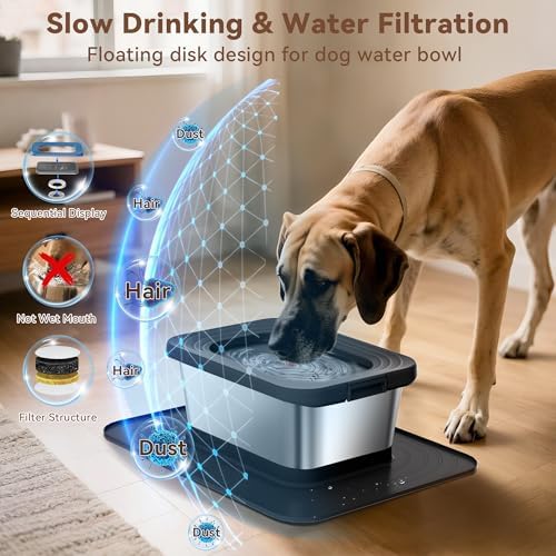 10L No Spill Dog Water Bowl Stainless Steel for Messy Drinkers