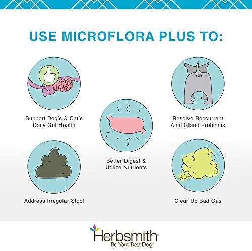 Herbsmith Microflora Plus – Dog Digestion Aid –Probiotics and Digestive Enzymes for Dogs – Prebiotic for Dogs – 30ct Capsules