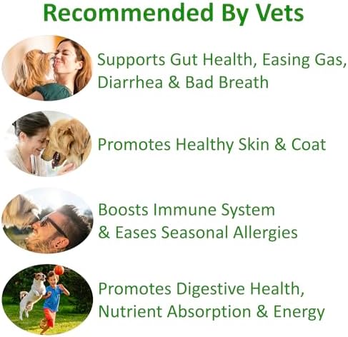 TummyWorks Probiotics for Dogs, Probiotics Chews for Digestive & Gut Health