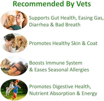 TummyWorks Probiotics for Dogs, Probiotics Chews for Digestive & Gut Health