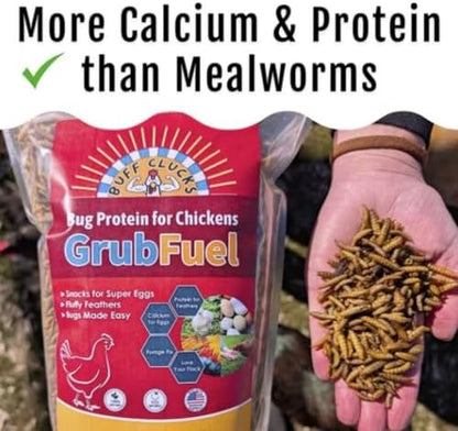 Buff Clucks Grub Fuel Black Soldier Fly Larvae for Chickens, Chick Feed 5lb