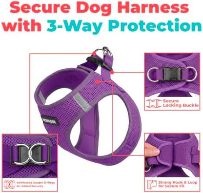 Voyager Step-in Air Dog Vest Harness - Purple, Medium