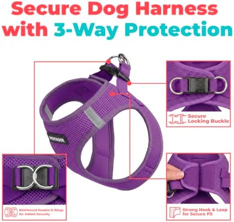 Voyager Step-in Air Dog Vest Harness - Purple, XXX-Small