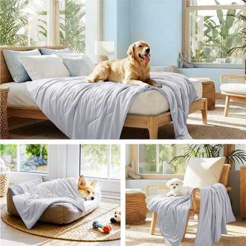 Luciphia Cooling Dog Blanket, Q-MAX>0.5 Pet Throw for Couch, Crate & Bed