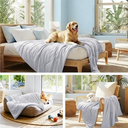 Luciphia Cooling Dog Blanket, Q-MAX>0.5 Pet Throw for Couch, Crate & Bed