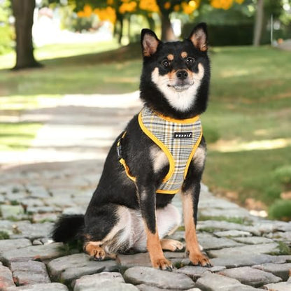 Puppia Lucas Dog Harness A (Over-The-Head) Fashionable Checkered Pattern Spring Summer Harness for Small and Medium Dogs, Yellow, X-Large