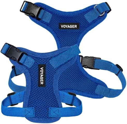 Voyager Step-in Lock Dog Harness - Royal Blue, X-Large