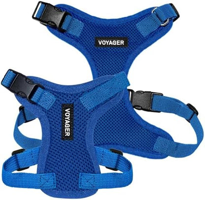 Voyager Step-in Lock Dog Harness - Royal Blue, X-Large
