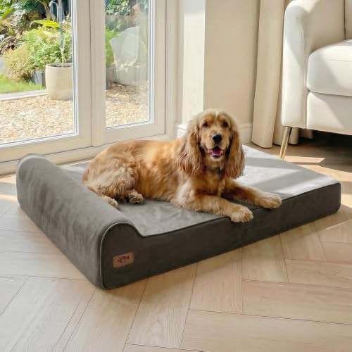 Sytopia Orthopedic Dog Beds for Large Dogs – 7" Extra Thick Memory Foam Pet Couch for Senior Dogs and Great Danes with Waterproof Liner & Washable Cover, Nonskid Bottom, 46"x28"x7", Dark Grey