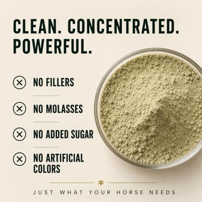 100-Day Supply Horse Joint Supplement Powder - 8 Amino Acids with MSM, Glucosamine & Vitamin E for Muscle, Hoof, Mobility & Recovery - Coat Defense & Weight Gain Supplement, Apple Flavor, 1 Pack