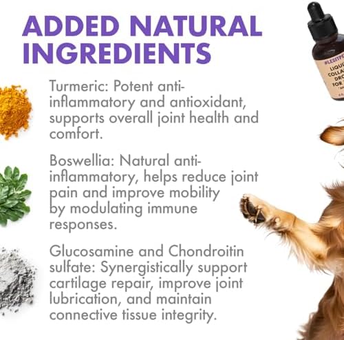 Premium Grass-Fed Collagen for Dogs & Cats Liquid Drops Supplement Daily Formula Support Hip & Joint Skin Coat Gut Hydrolyzed Type I & III Bovine Protein Beef Flavor All Dog and Cat Sizes & Ages
