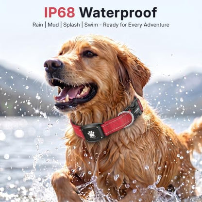 GPS Dog Collar with Tracker, Waterproof, No Monthly Fee, Red, M