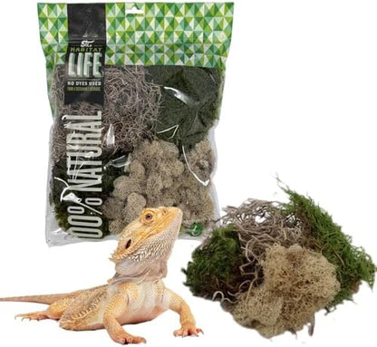 Variety Mix Moss for Terrarium Habitats, Medium 1-Pack