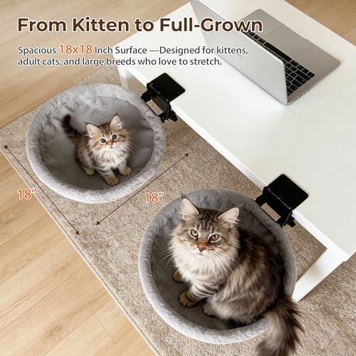 Cat Desk Bed, Foldable Desk Mounted Cat Bed for Large Cats, Heavy Duty Support Up to 50lbs, Desk Cat Perch with Extra Wide Clamp & Double Anti-Slip Pads, Attachment for Home Office