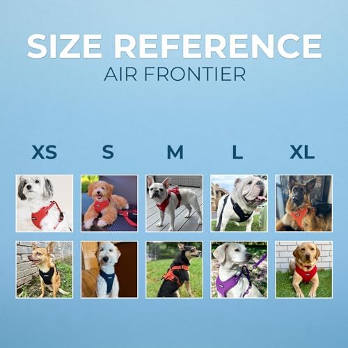 Air Frontier Mesh Dog Harness with Steel Leash D-Ring, Reflective Stitching, and Lightweight Breathable No-Pull Design, Adjustable Neck and Chest Straps for Small to Large Breeds - FSW, S
