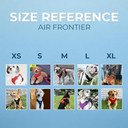 Air Frontier Mesh Dog Harness with Steel Leash D-Ring, Reflective Stitching, and Lightweight Breathable No-Pull Design, Adjustable Neck and Chest Straps for Small to Large Breeds - PPW, XS