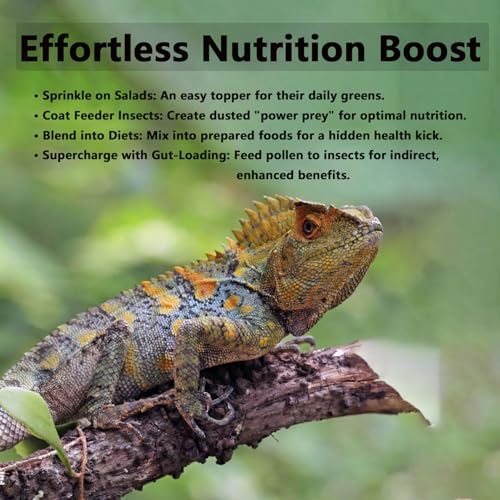 Pleasantly War Bee Pollen for Bearded Dragons and Amphibians, Natural Granules, Premium Grade, Digestive and Immune Support,8oz