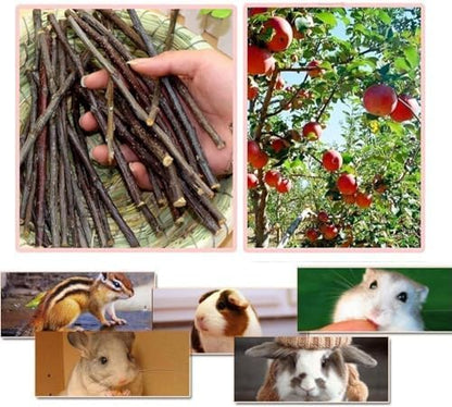 William Craft 100g Apple Sticks Small Animals Molar Wood Toys for Rabbits Chinchillas Guinea Pig Hamster Gerbil Parrot Bunny and Small Animals Chew Stick Treats