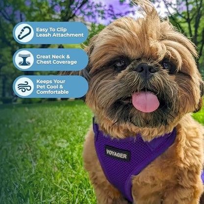 Voyager Step-in Lock Dog Harness - Purple, Large