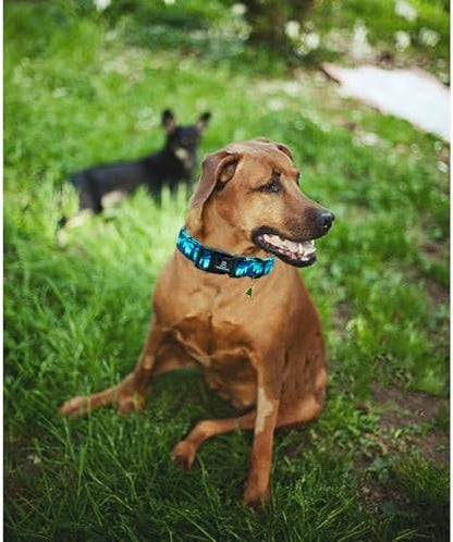 Lionheart glory Dog Collar Green Cute Collar for Medium Dogs Spring Summer Female or Male Collars Pets Gift Adjustable Heavy-Duty Pet Collars