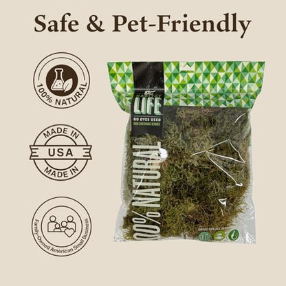 Deco Moss for Terrarium Habitats, Medium 1-Pack