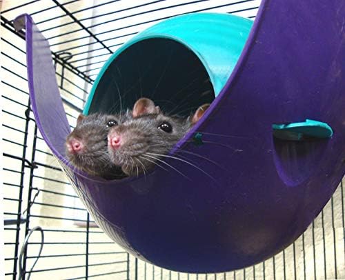 Lixit Igloos and Hideaways for Guinea Pigs, Rats, Mice, Hamsters, Gerbils and Other Small Animals