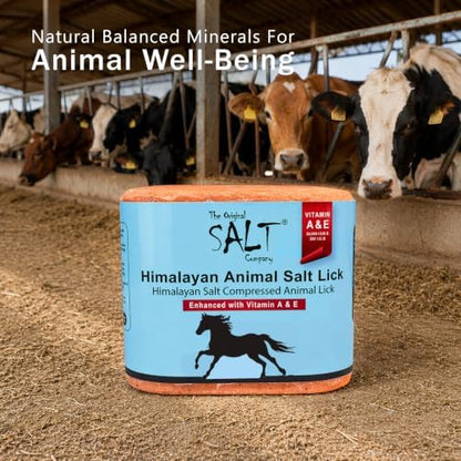 Himalayan Animal Salt Block 5 lb with Vitamins A & E – Fortified Mineral Salt Lick for Horses & Livestock – Compressed Pink Himalayan Block for Stall & Controlled Feeding