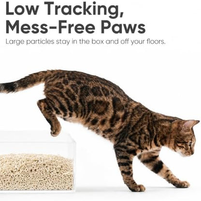 FUKUMARU Tofu Cat Litter, Unscented, Plant-Based, Clumping, Low Dust, 18 lb