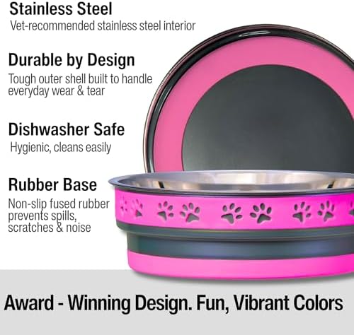 Loving Pets Corsa Dog Bowls- Stainless Steel Dog & Cat Bowls - Spill Proof Dog Food Bowl, Cat Bowl, Puppy Essentials & Pet Supplies Great for Home & Travel (Small 10-20 lbs, Fiery Pink)