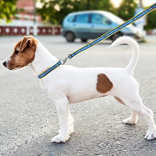 NFL PET Leash Los Angeles Chargers Dog Leash, Medium Football Team Leash for Dogs & Cats. A Shiny & Colorful Cat Leash & Dog Leash Licensed by The NFL