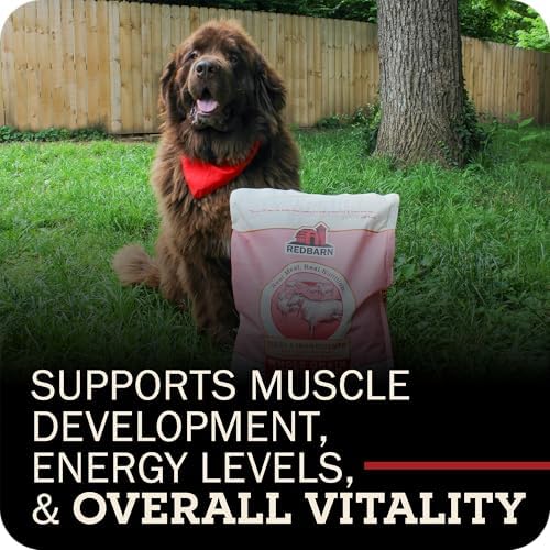 Redbarn Whole Grain Adult Dry Dog Food Kibble - Land Beef Recipe - Made in USA No Chicken Recipe with Functional Ingredients to Support Healthy Heart, Skin, Coat, Immunity & Digestion - 4lb