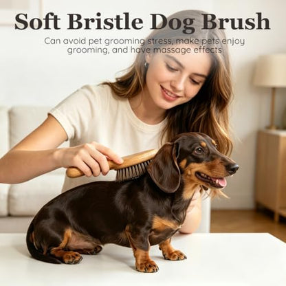 Soft Boar Bristle Short Hair Dog Brush, Fit Puppy, Kittens, Small Pets