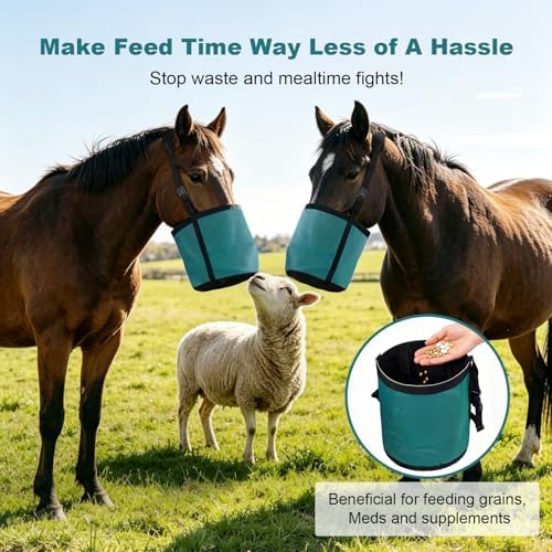 Horse Feed Bag for Grain, Breathable Muzzle Feed Bags for Horses, Universal Mesh Feedbag for Feeding Grain, Anti-Spill Design Feeder, Durable Nose Bag with Solid Bottom (Turquoise)
